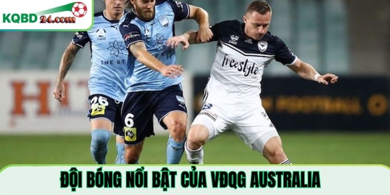 Những đội bóng nổi bật của VĐQG Australia
